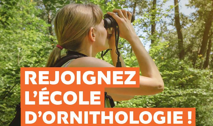 Ecole d'ornithologie - LPO